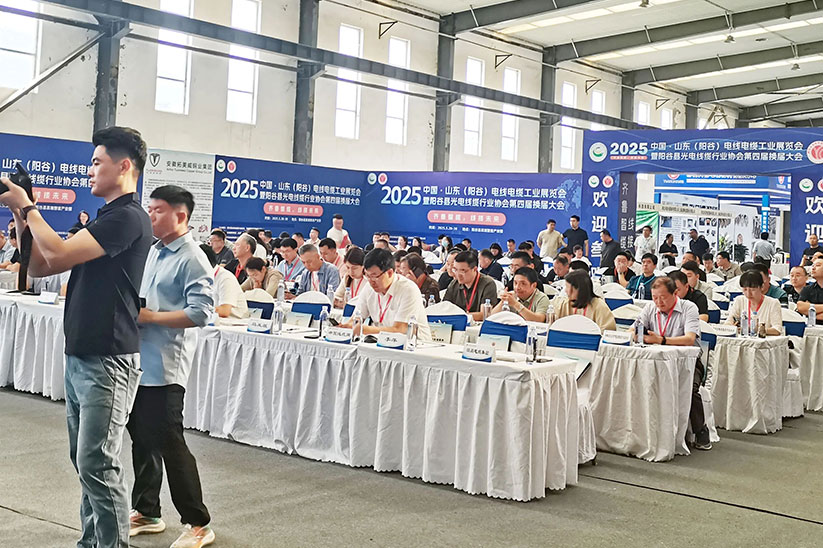 线缆新材与绿色工艺：驱动产业价值链升级